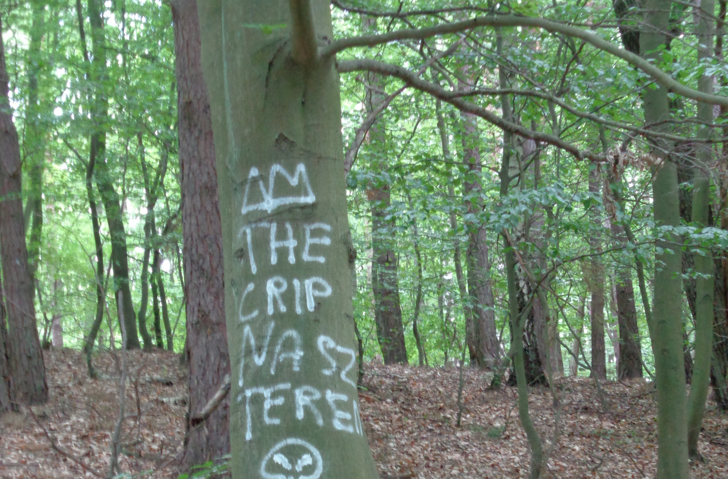 Wolin National Park-act of vandalism