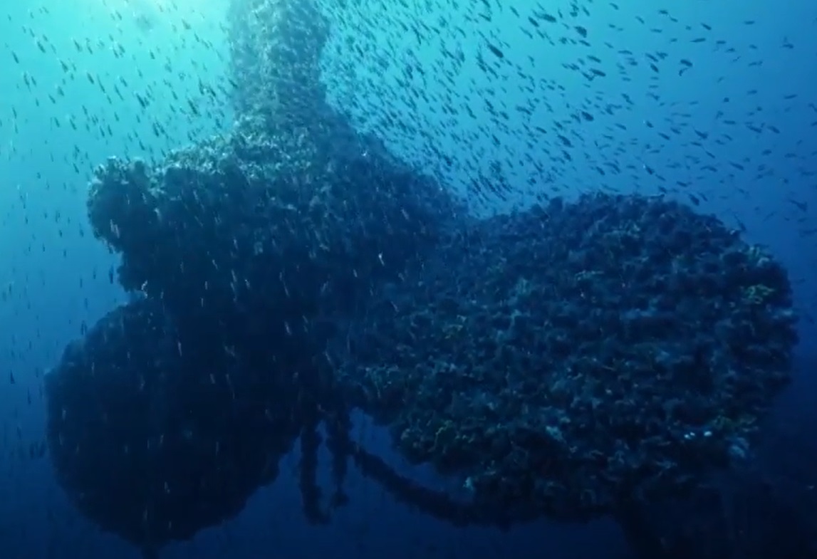 Screenshot from the documentary Titanic's Tragic Twin: The Britannic Disaster (2016)