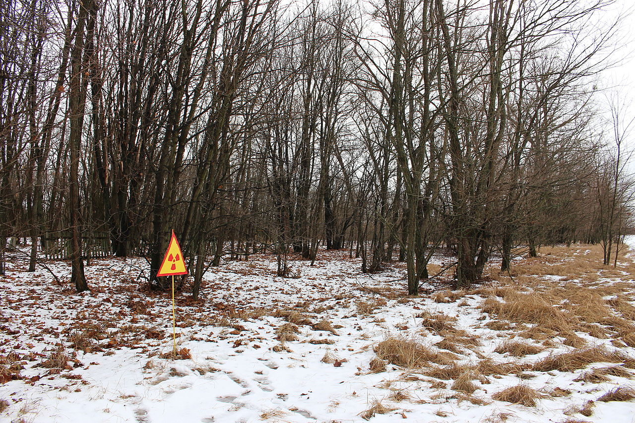Chernobyl Exclusion Zone.