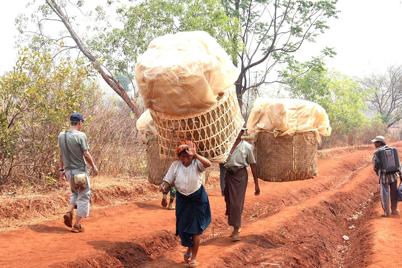Shan woman caring basket