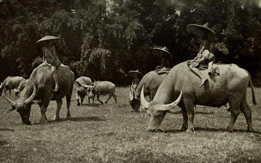 Shans At Home With Two Chapters On Shan History And Literature 1910