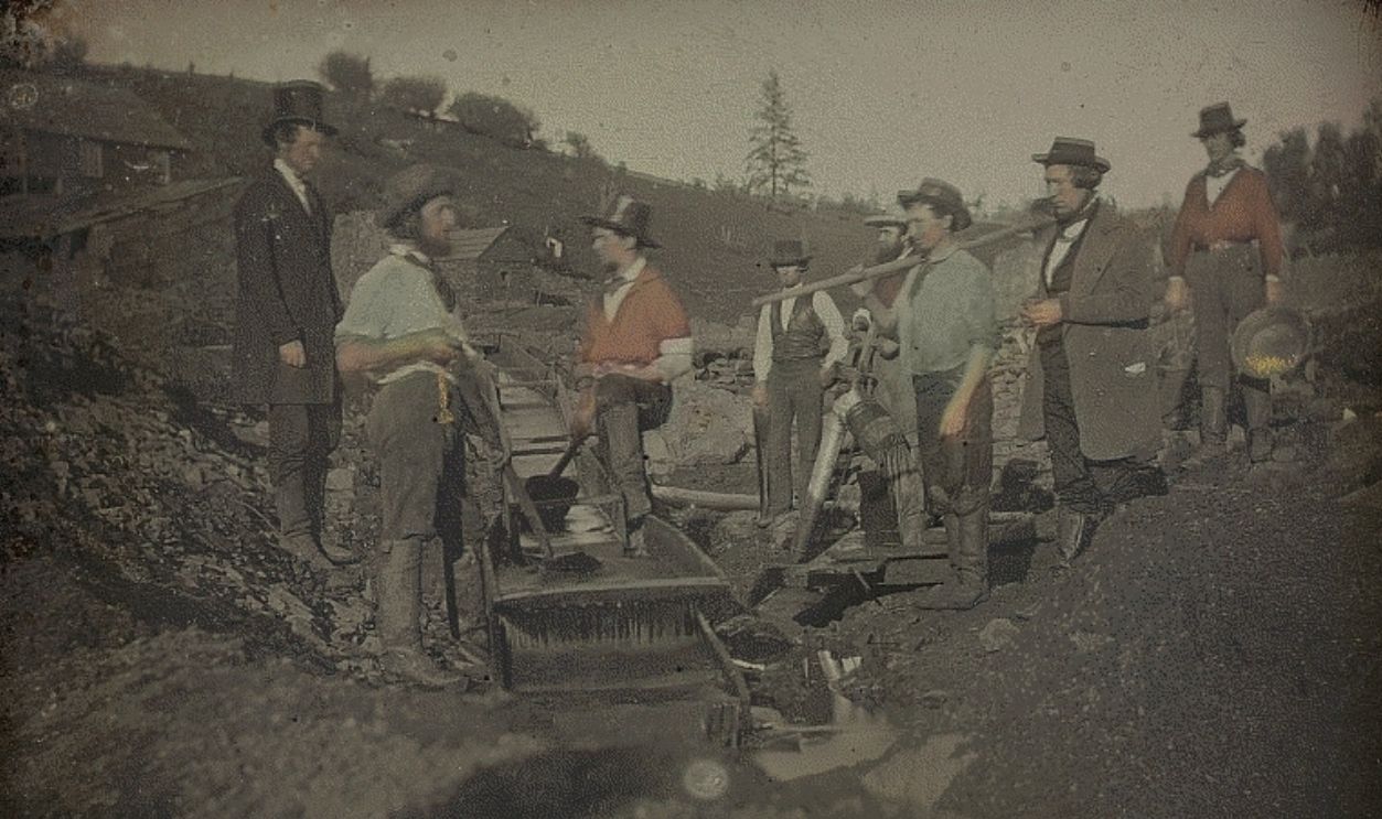 California Gold Miners