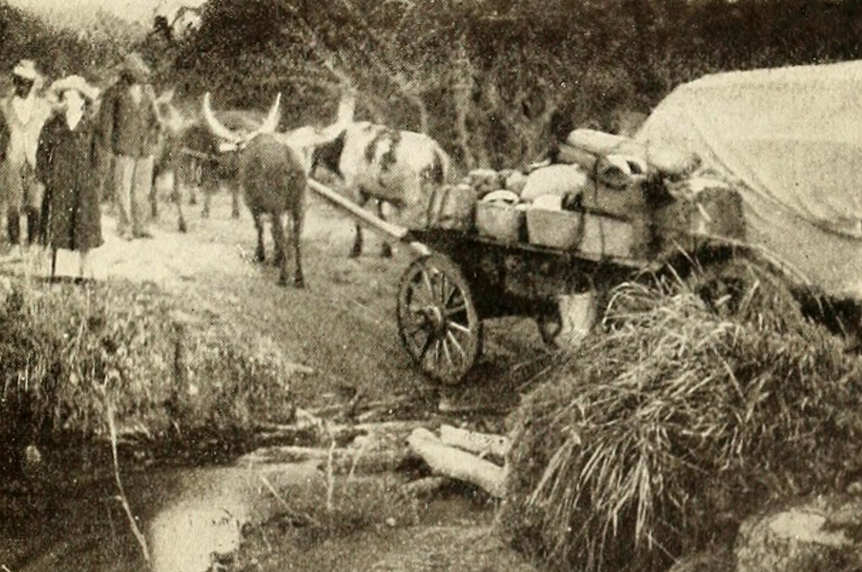 Travels in North West Rhodesia in the 1900s