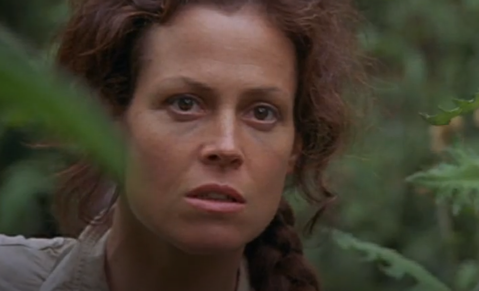 A screenshot of the movie Gorillas in the Mist