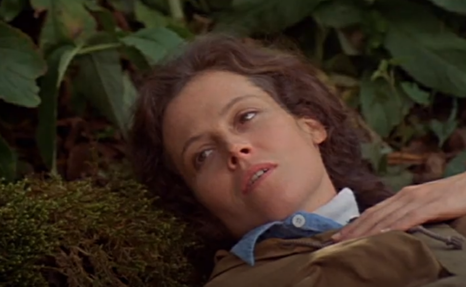 A screenshot of the movie Gorillas in the Mist