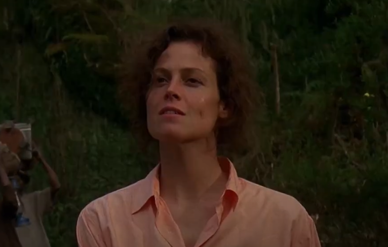 A screenshot of the movie Gorillas in the Mist