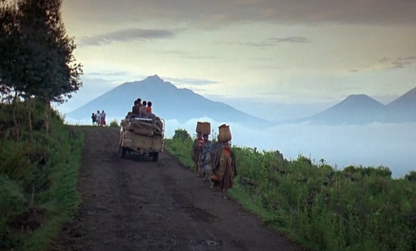 A screenshot of the movie Gorillas in the Mist