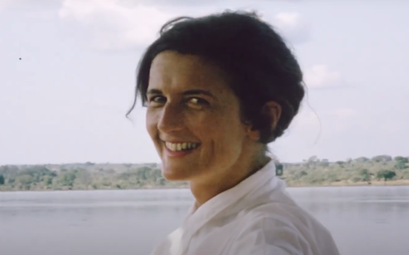 A screenshot from the documentary Dian Fossey: Secrets in the Mist