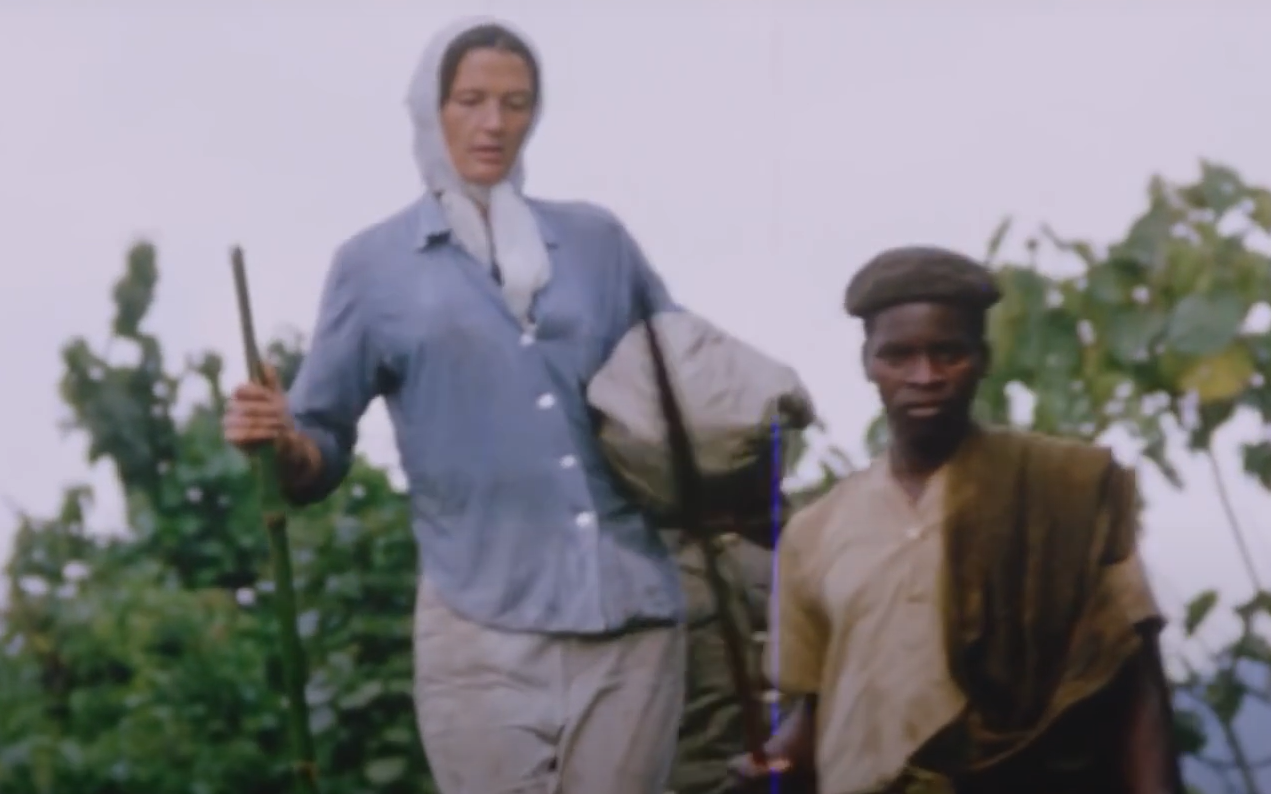 A screenshot from the documentary Dian Fossey: Secrets in the Mist