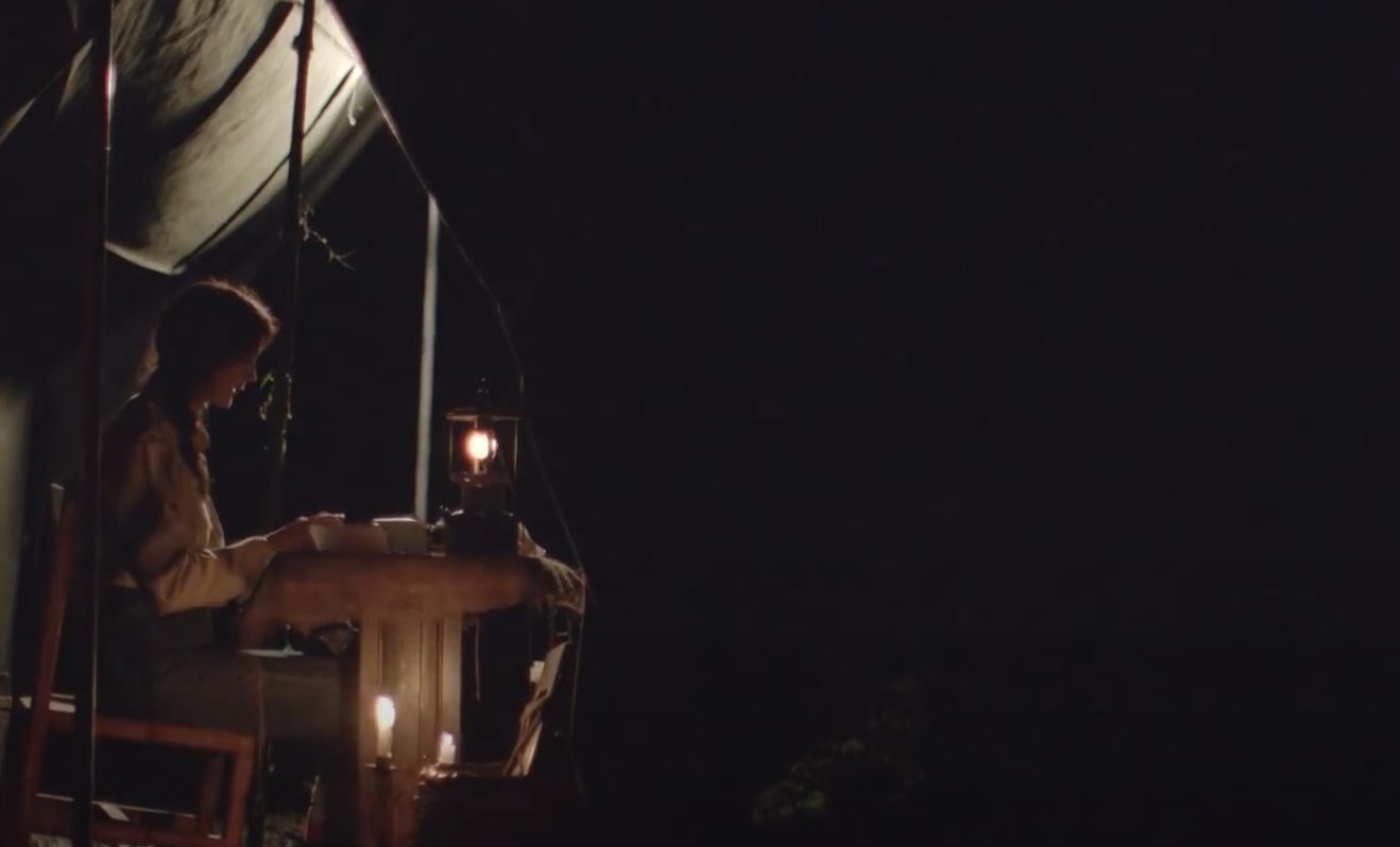 A screenshot from the documentary Dian Fossey: Secrets in the Mist