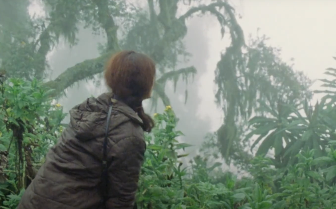 A screenshot from the documentary Dian Fossey: Secrets in the Mist