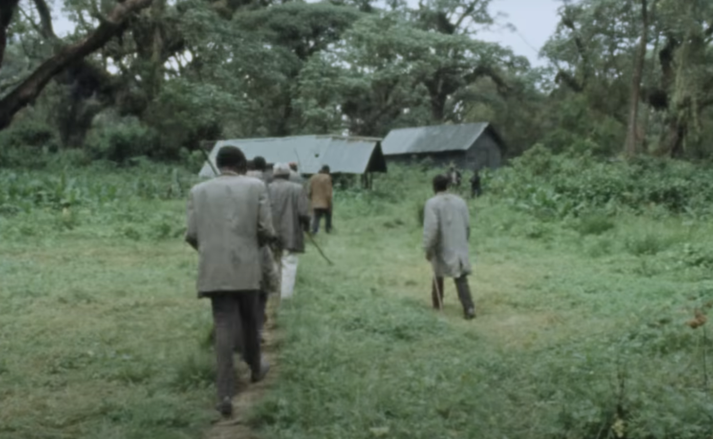 A screenshot from the documentary Dian Fossey: Secrets in the Mist
