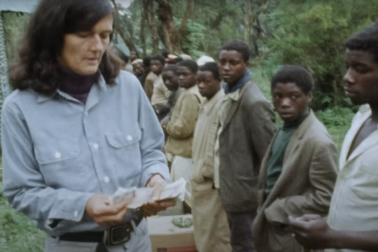 A screenshot from the documentary Dian Fossey: Secrets in the Mist