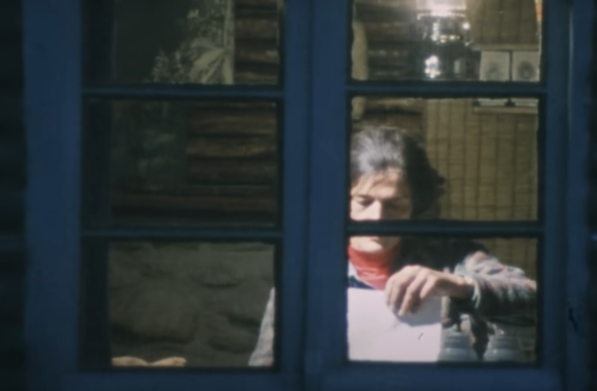 A screenshot from the documentary Dian Fossey: Secrets in the Mist