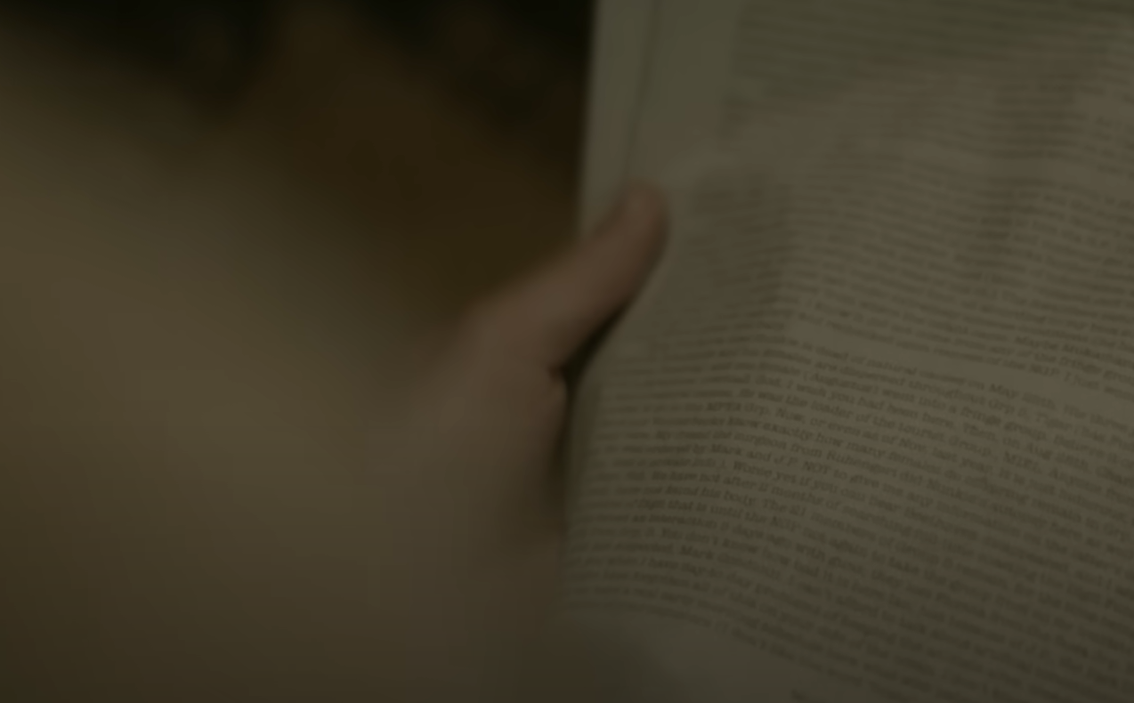 A screenshot from the documentary Dian Fossey: Secrets in the Mist