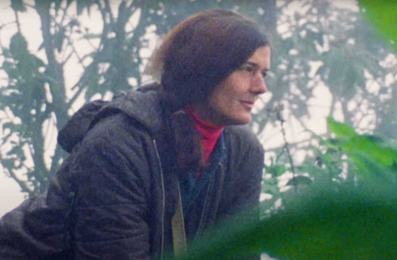 A screenshot from the documentary Dian Fossey: Secrets in the Mist
