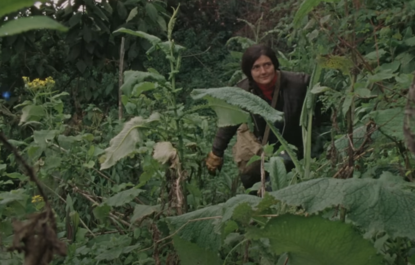 A screenshot from the documentary Dian Fossey: Secrets in the Mist