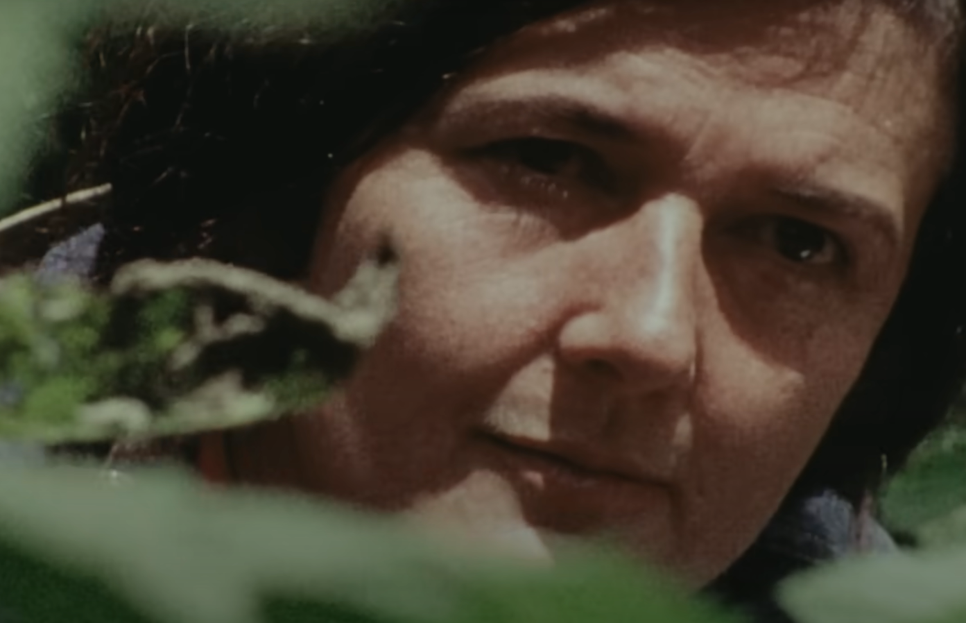 A screenshot from the documentary Dian Fossey: Secrets in the Mist