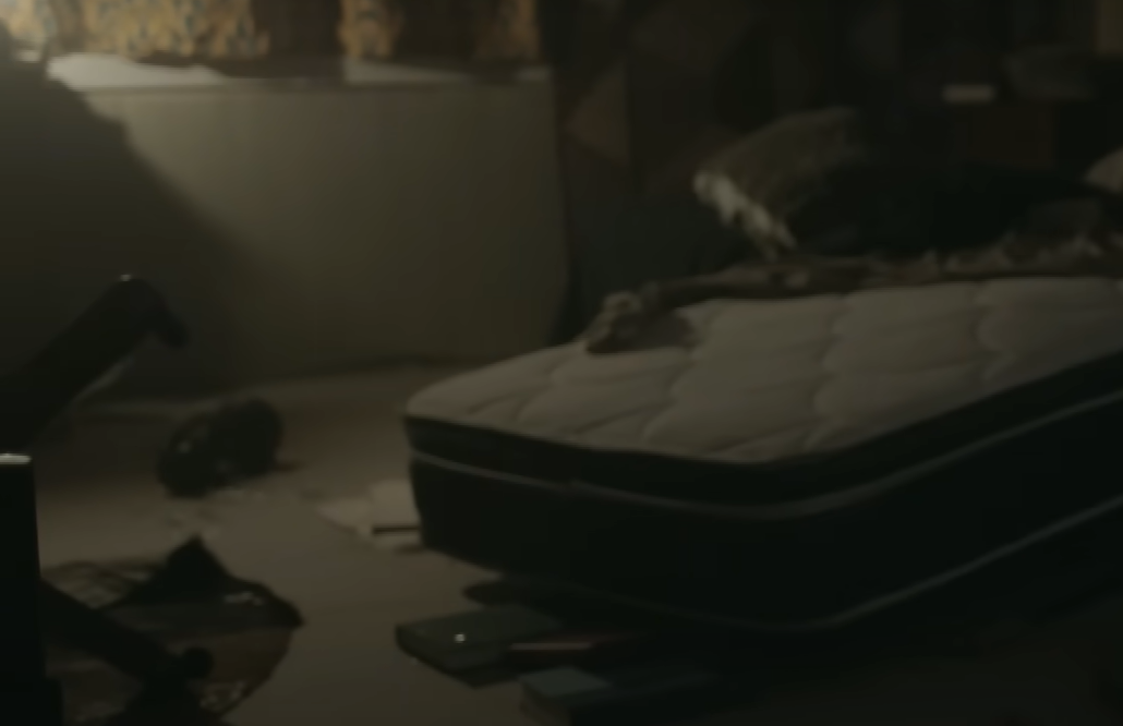 A screenshot from the documentary Dian Fossey: Secrets in the Mist