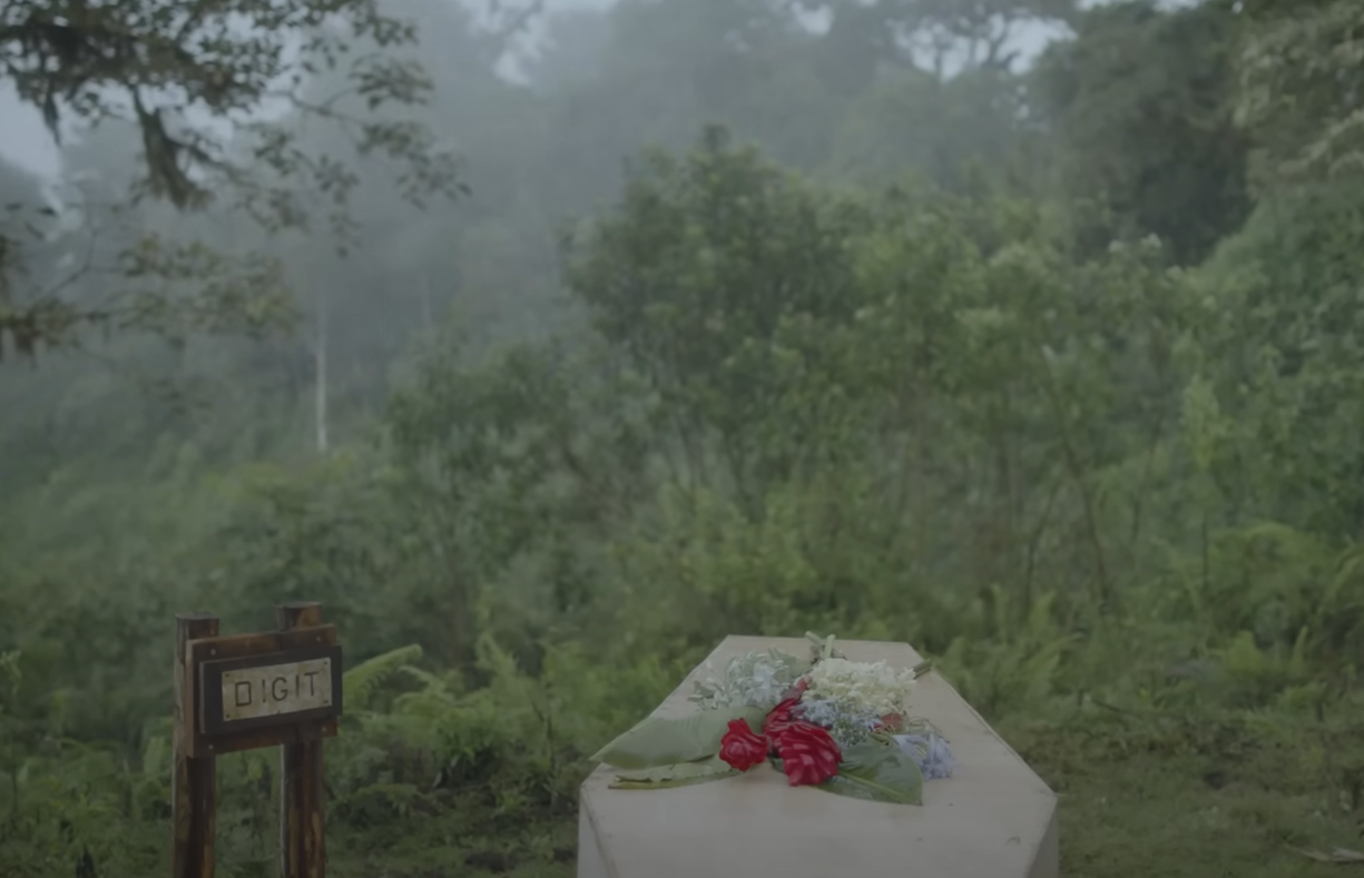 A screenshot from the documentary Dian Fossey: Secrets in the Mist