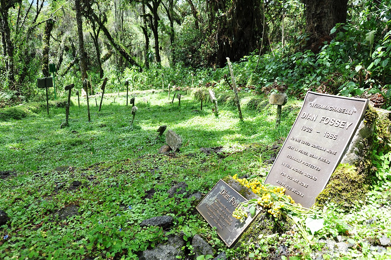 Graves of Dian Fossey and her gorillas in the back