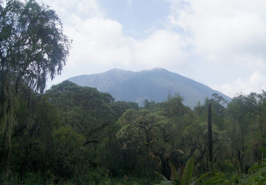 Active Volcano Mount Bisoke during the day