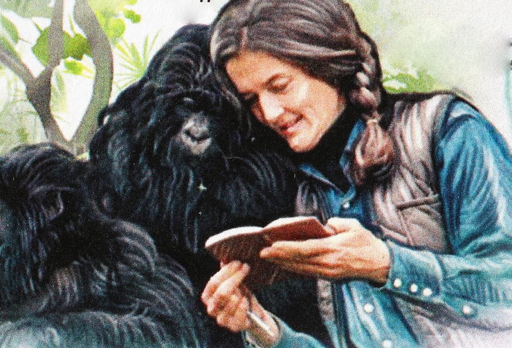 Dian Fossey with her beloved gorillas on postage stamp