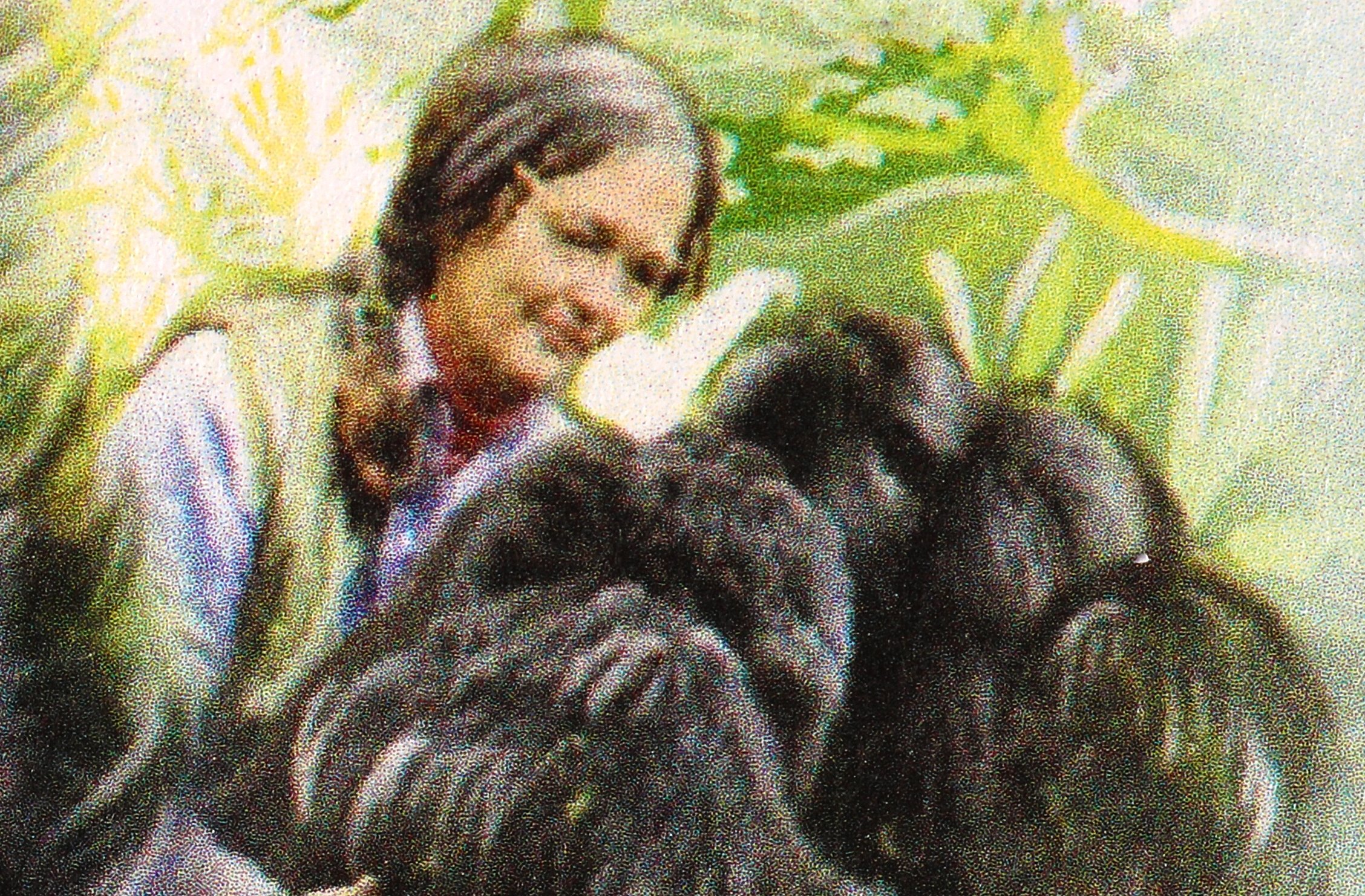 Postage Stamp of Dian Fossey and her gorillas