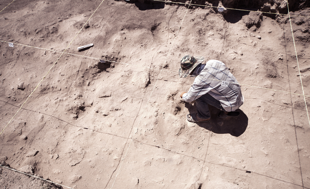 Archaeologist working in field