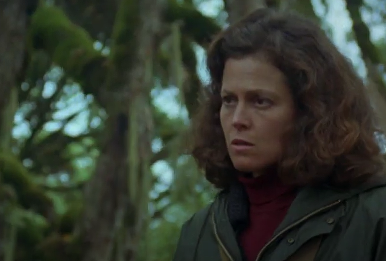 A screenshot of the movie Gorillas in the Mist