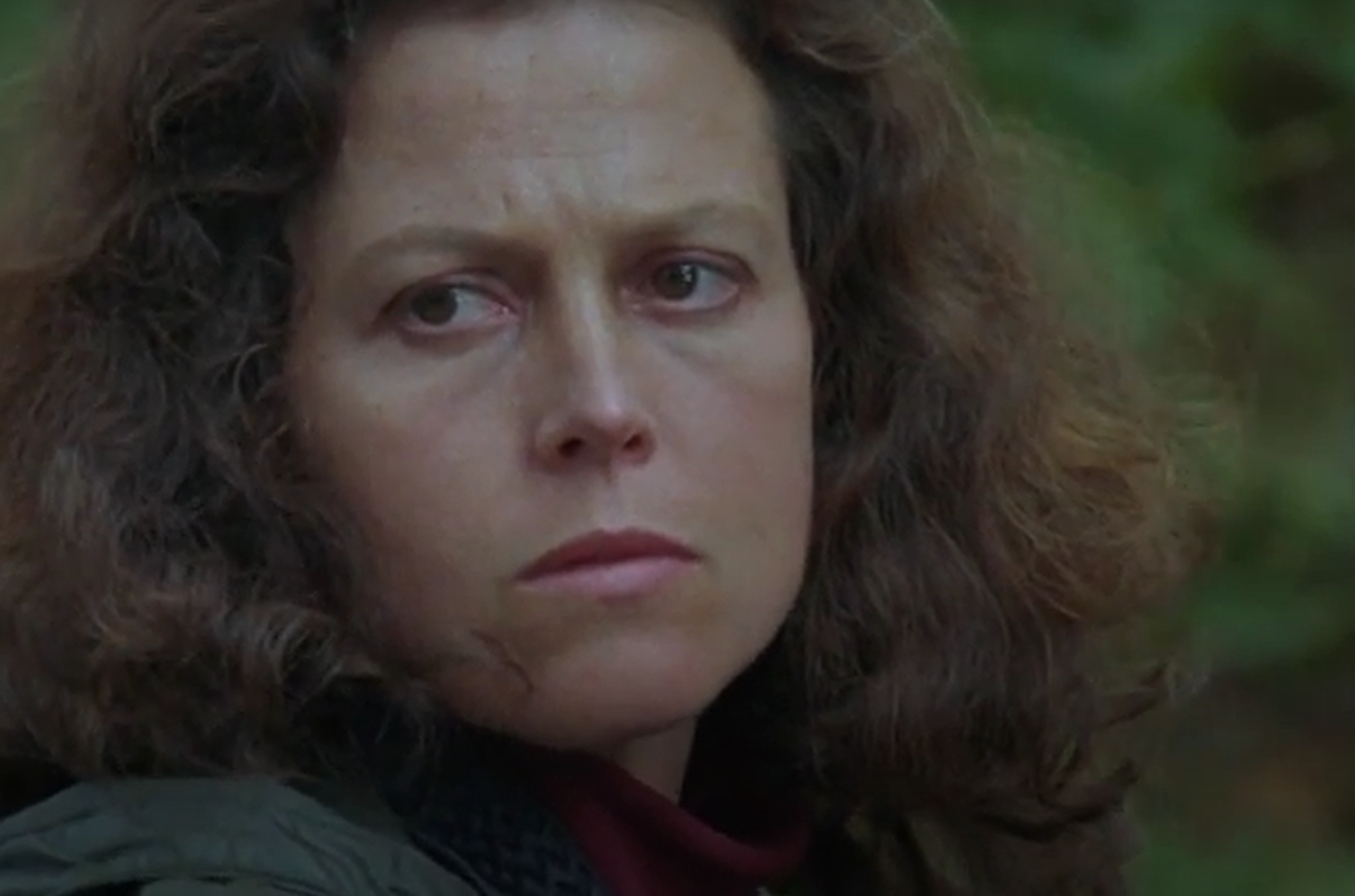 A screenshot of the movie Gorillas in the Mist