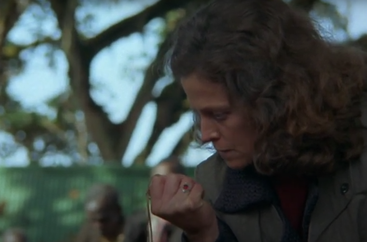 A screenshot of the movie Gorillas in the Mist