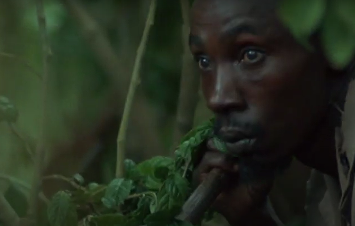 A screenshot of the movie Gorillas in the Mist