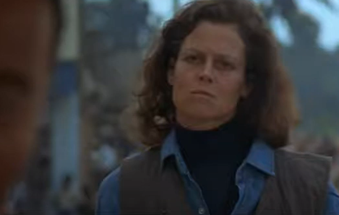 A screenshot of the movie Gorillas in the Mist