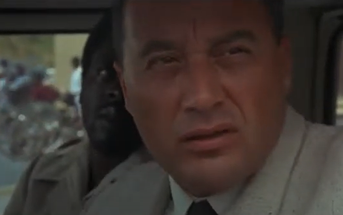 A screenshot of the movie Gorillas in the Mist