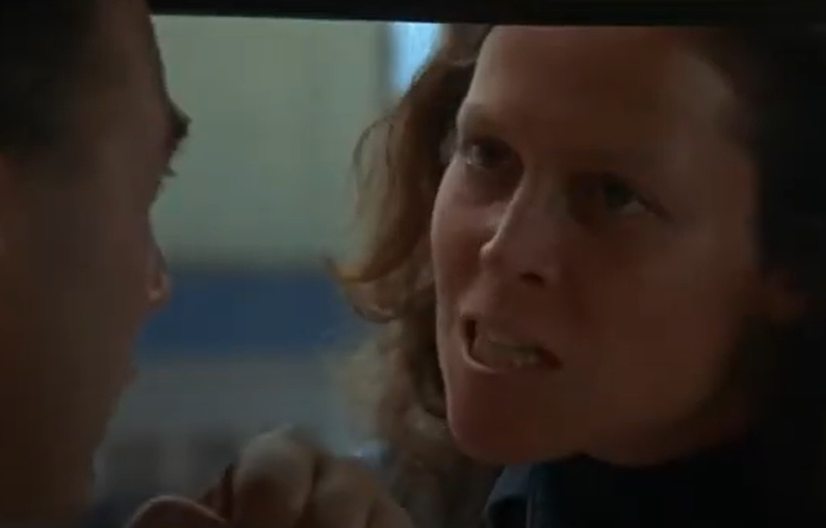 A screenshot of the movie Gorillas in the Mist