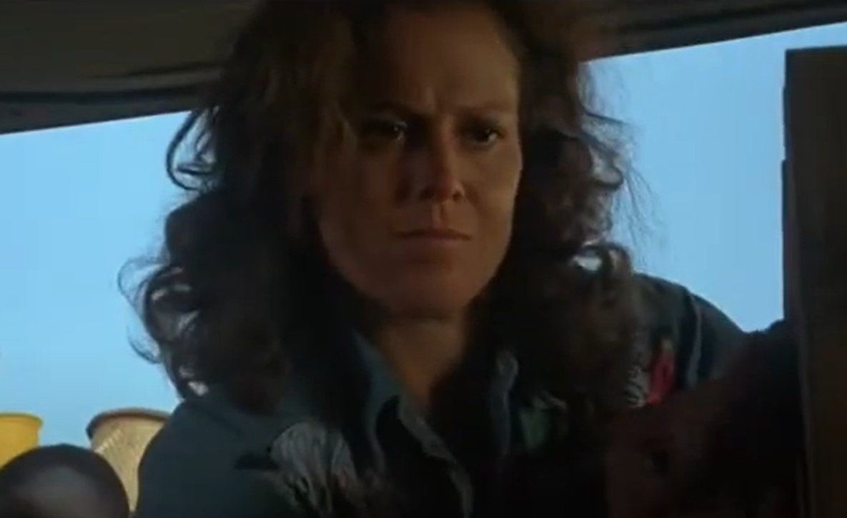 A screenshot of the movie Gorillas in the Mist