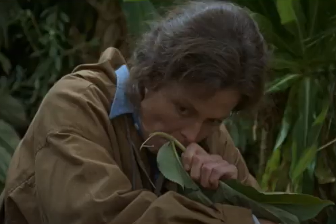 A screenshot of the movie Gorillas in the Mist