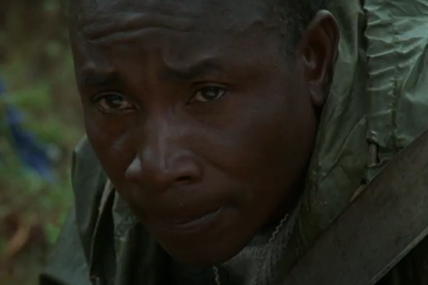 A screenshot of the movie Gorillas in the Mist