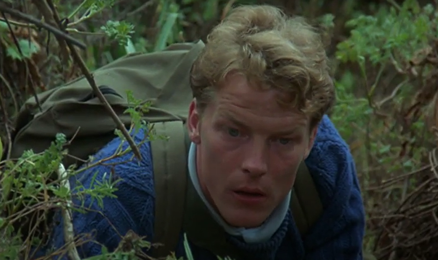 A screenshot of the movie Gorillas in the Mist