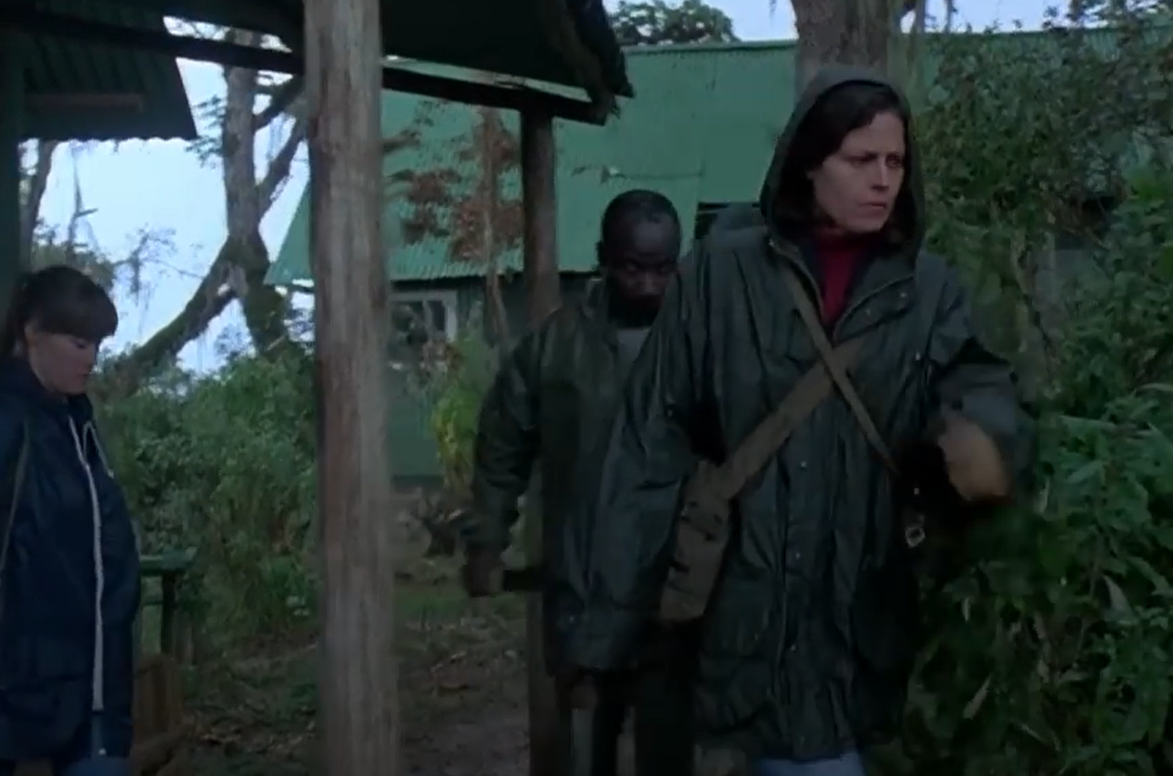 A screenshot of the movie Gorillas in the Mist