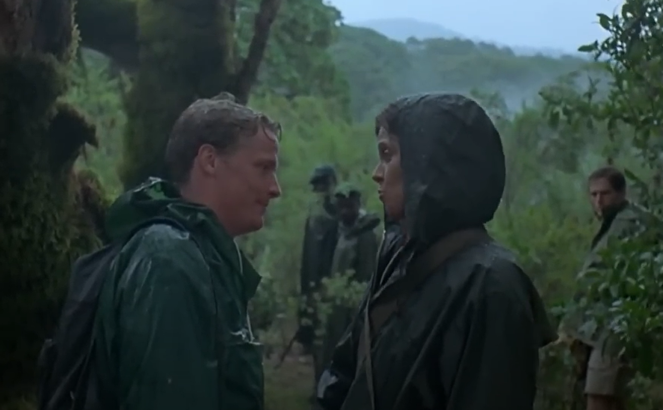 A screenshot of the movie Gorillas in the Mist