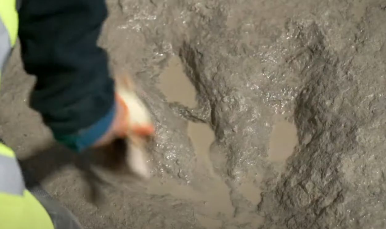 Dinosaur Footprint