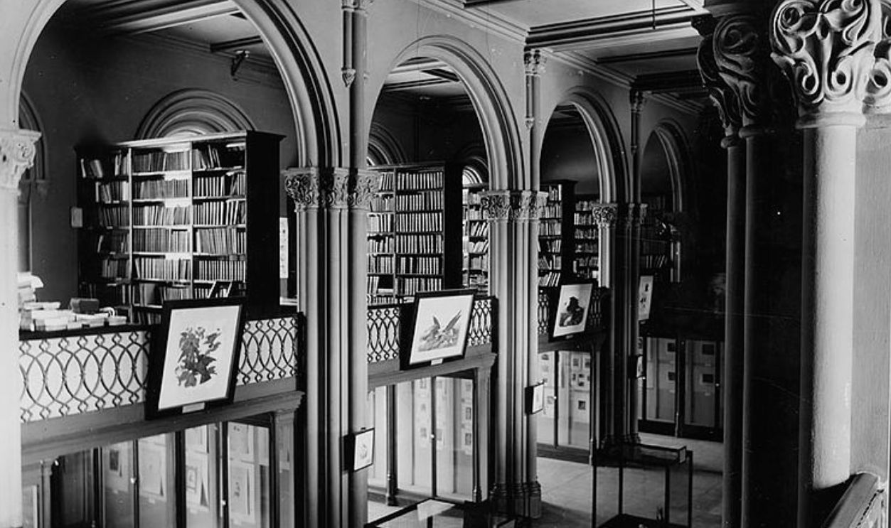 The Size Of The Collections