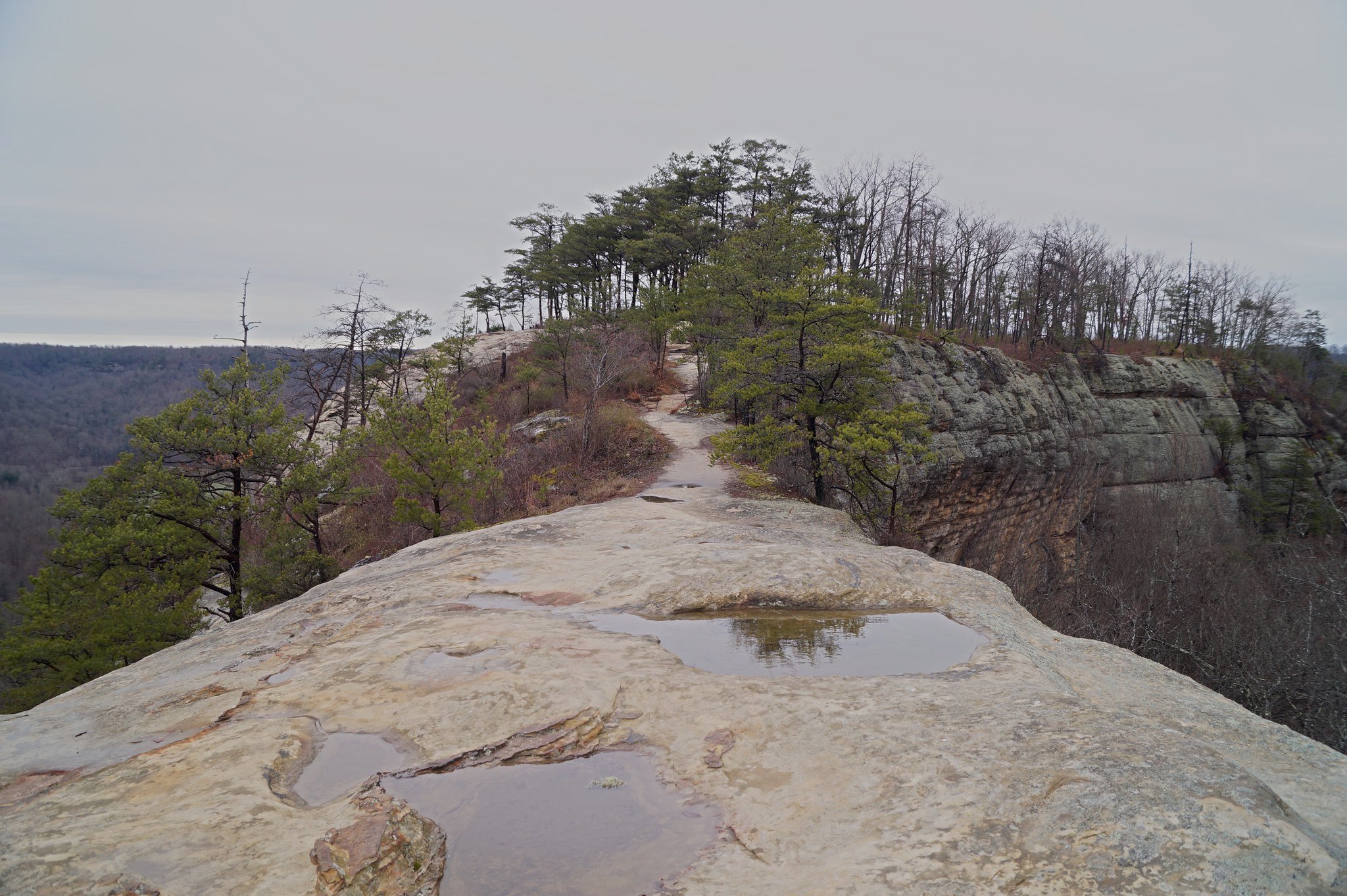 Auxier Ridge Trail During Day