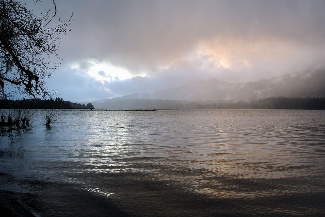 Misty Sunset Over Lake Quinault in Washington