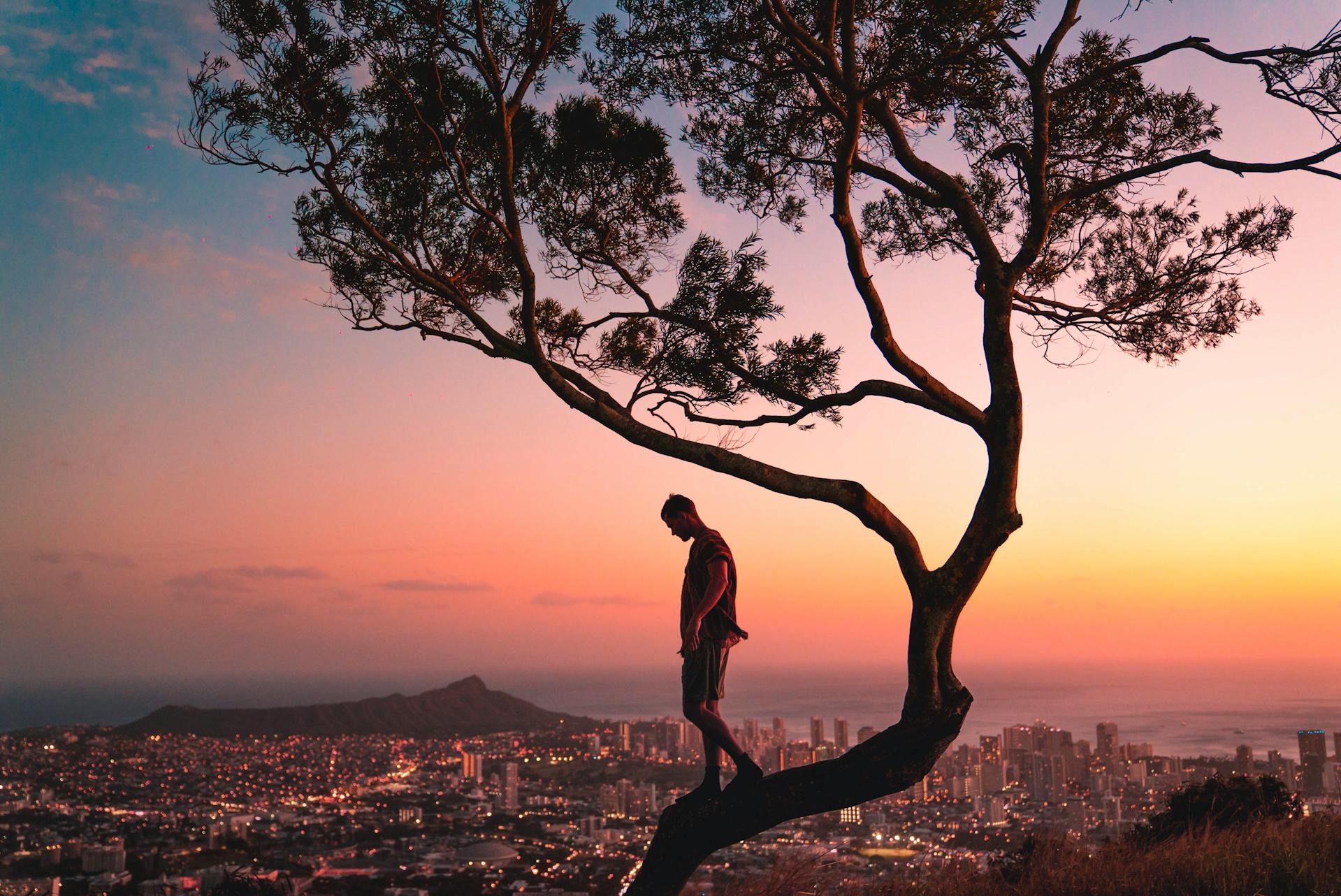 Man Standing on Tree Branch during Sunset in Hawaii