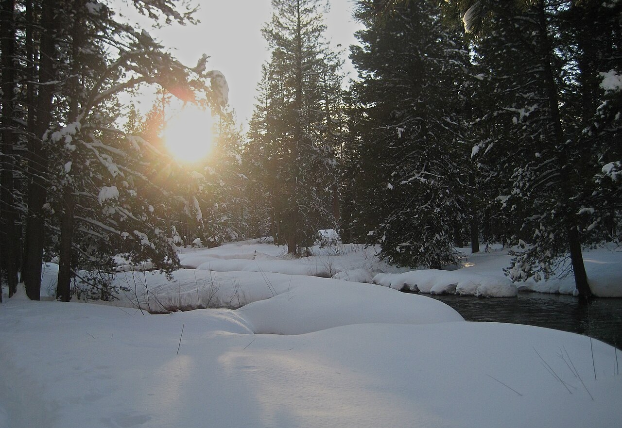 Hiking through Donner Memorial State Park