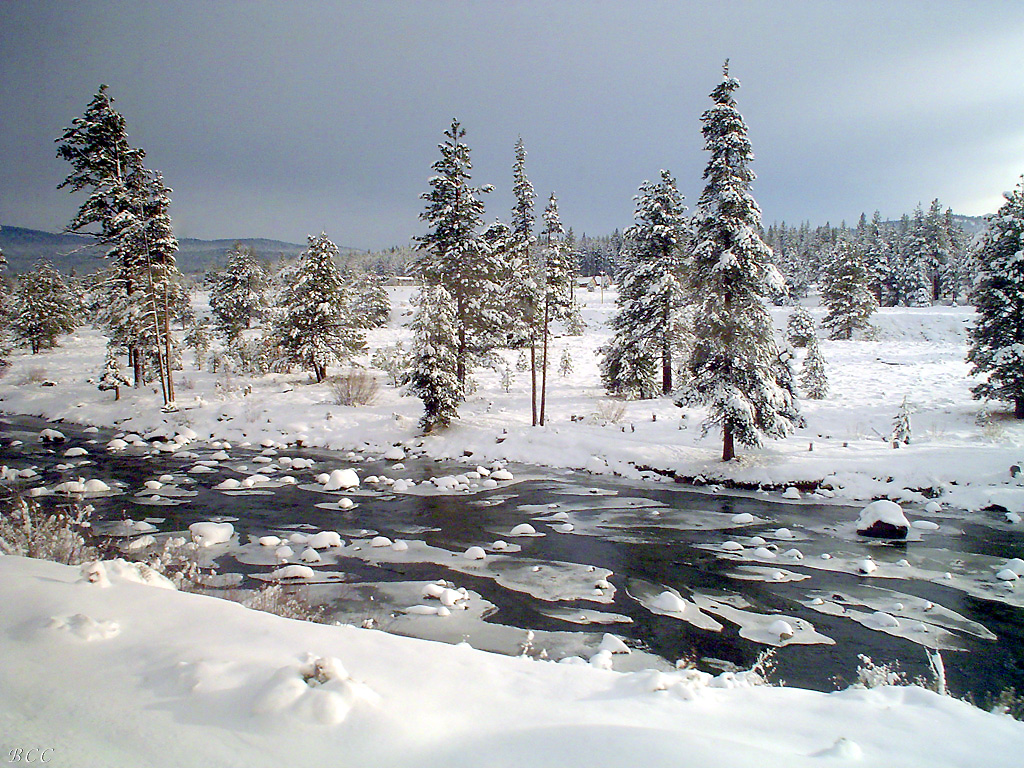 A View of the Truckee River from the UPRR grade
