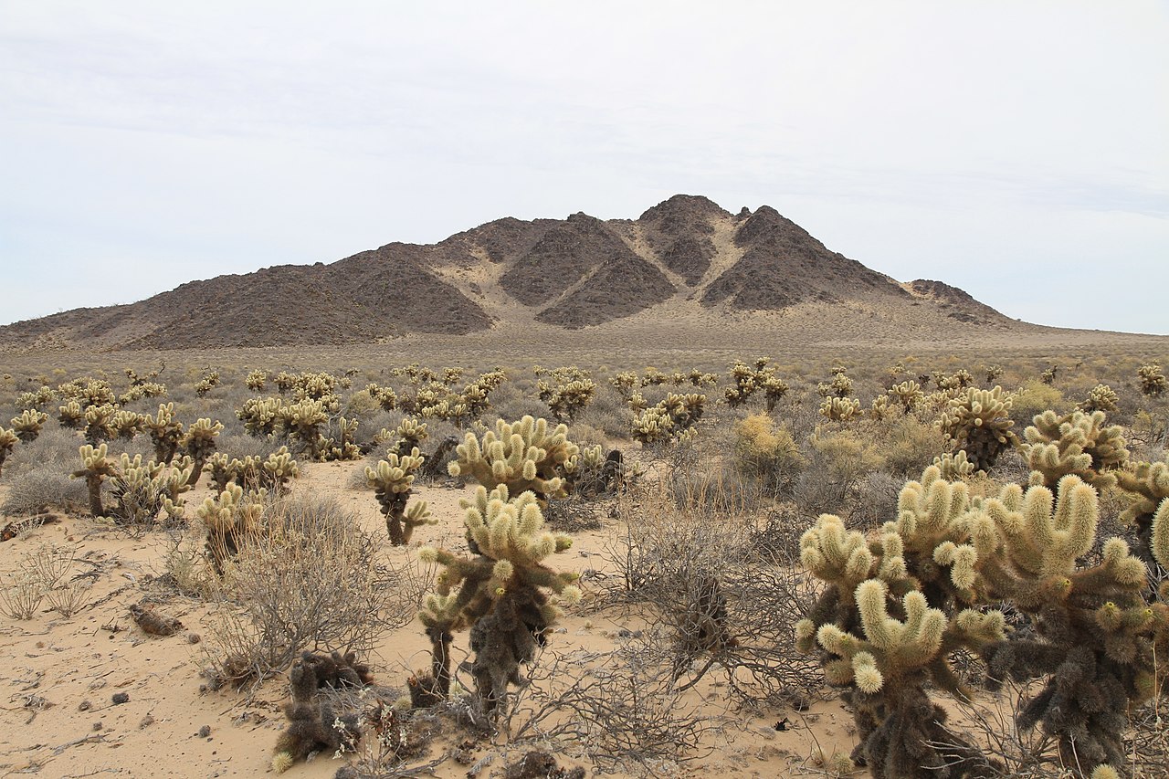 The Sonora desert